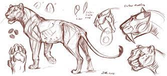 Anatomy is the science that studies. Anatoref Animal Sketches Animal Art Cat And Dog Drawing