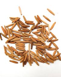 Image result for Adenium boehmianum