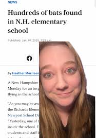 Chester W Morrison Elementary School