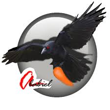 Jual produk order karikatur gambar vektor murah dan terlengkap. Ide 40 Gambar Burung Ababil Png