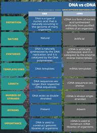 Enrich your vocabulary with the english definition dictionary. Difference Between Dna And Cdna Compare The Difference Between Similar Terms
