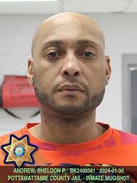 ANDREW, SHELDON PAUL BK2400381