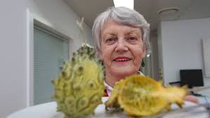 It looks like a banana covered with green scales, which buckle and separate as the fruit ripens. Retired Griffith Farmer Shocked To Find Tropical African Fruit In Backyard Good Fruit Vegetables Australia
