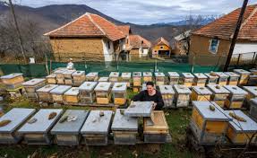 ► women of north macedonia by century‎ (empty). North Macedonia Empowering Women Entrepreneurs Projects Meyer Business On The Frontlines Program University Of Notre Dame