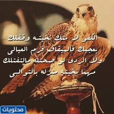 الصديق الحقيقي هو الصديق الذي تكون معه كما تكون وحدك. Ø¹Ø¨Ø§Ø±Ø§Øª Ù…Ø¯Ø­ Ø§Ù„Ø±Ø¬Ø§Ù„ Ø§Ù„ÙƒÙÙˆ Ø§Ø¬Ù…Ù„ ÙƒÙ„Ù…Ø§Øª ÙˆÙ‚ØµØ§Ø¦Ø¯ ÙˆØµÙˆØ± Ù…Ø¯Ø­ Ø§Ù„Ø±Ø¬Ø§Ù„ Ø§Ù„ÙƒÙÙˆ Ù…ÙˆÙ‚Ø¹ Ù…Ø­ØªÙˆÙŠØ§Øª