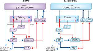 Parkinson S Disease Therapeutics New Developments And Challenges Since The Introduction Of Levodopa Neuropsychopharmacology