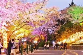 Di seoul grand park ini ada kebun binatang pertama di korea selatan, taman bunga mawar yang dikelilingi danau dan pepohonan yang subur, dan campsite. 5 Destinasi Wisata Gratis Di Korea Selatan Blog Wisata Korea