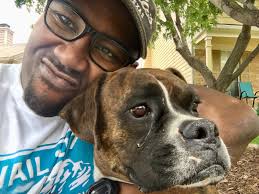 Working dogs are amazing