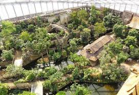 Tropical Zoo Enclosure Google Search The Zoo Zoologischer Garten Tropen