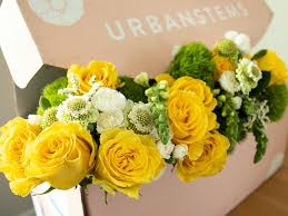 Our Honest Review Of Urbanstems A Popular Online Flower Delivery Service For Fresh And Dried Flowers And Plants Laptrinhx