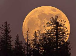 Time zone on halloween since 1944. Full Moon Halloween 2020 How To See The Full Blue Moon October 31st Thrillist