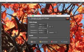 Grand fond ecran pour pc asus window7 / feb 18, 2021 · merci archimède. Choisir Un Fond D Ecran De Bonne Taille