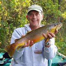 Image result for Rawsonia burtt-davyi