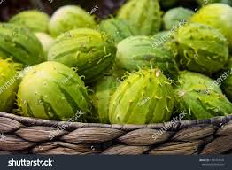 Image result for Cucumis cinereus