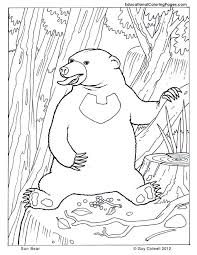 Welcome the summer with these sun templates and coloring pages that you can use for crafts, science lessons, and other summer activities with your kids! Sun Bear Educational Fun Kids Coloring Pages And Preschool Skills Worksheets