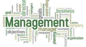 Management