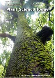 Image result for Terminalia sambesiaca