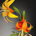 Botanical Paper Carolina Lily Workshop