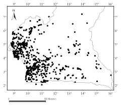 Image result for Pavetta pierlotii