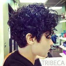 Pin On Short Curly Hair
