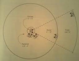 Proxemics Is Defined As The Study Of The Use Of Space By Human Beings In A Particular Culture Edward Human Environment Space Planning Furniture Arrangement