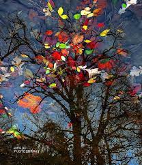 Lingering Autumn Unique Nature Photography Colorful Fall Etsy Nature Photography Beautiful Photography Nature Winter Photography Nature