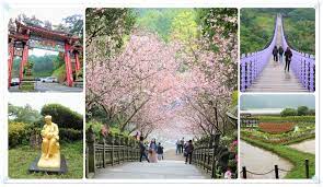 台北景點 內湖區 碧山巖賞粉嫩櫻花走白石湖吊橋看同心池夫妻樹in 2021 street view colleges and universities scenes