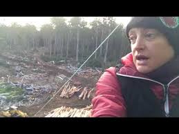 Native Forest Logging, Dr Lisa Searle