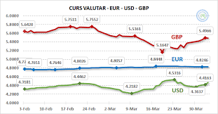 Istoric curs bnr pentru euro, dolar si orice alta valuta. Analiza Curs Valutar Euro Martie Comparativ Februarie 2020
