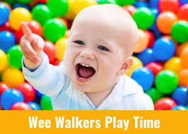 Rochester neurosurgeon among 6 killed in NY plane crash