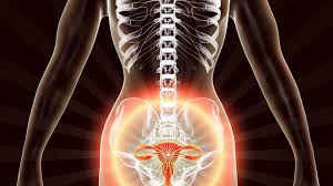 雌激素副作用】水腫型肥胖種類及相關減肥方 ...