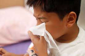 Finally, the team developed a probiotic nasal spray containing the bacteria to see whether it could colonize the nose. 3 Ways To Make Saline Nasal Spray Wikihow