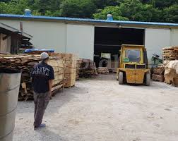 Hamzy memiliki 2,9 pengikut di weibo dan 1,3 juta pengikut di bilibili. Buruh Haram Rakyat Malaysia Tagih Bantuan Semasa Mstar