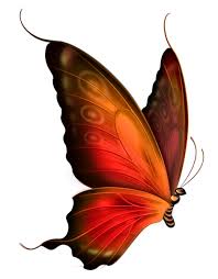 Red And Brown Transparent Butterfly Clipart Butterfly Clip Art Butterfly Pictures Butterfly Painting