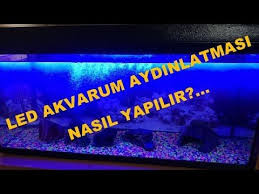 Led Akvaryum Aydinlatmasi Nasil Yapilir Led Akvaryum Instagram