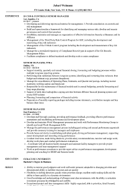 Manages the daily financial activities and functions for an organization including accounting, budget, credit, insurance, tax, and treasury. Senior Manager Resume Samples Velvet Jobs