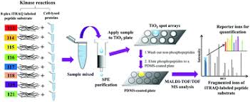 Bei itraq (isobaric tags for relative and absolute quantitation) handelt es sich um eine experimentelle methode aus dem bereich der proteinanalytik und proteomik. A Rapid Multiplexed Kinase Activity Assay Using 8 Plex Itraq Labeling Spe And Maldi Tof Tof Ms Analyst Rsc Publishing