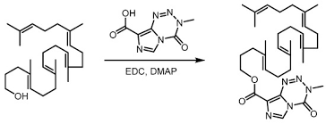 Image result for Temozolomide