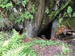 Image result for Fern Green 1952 Chrysler