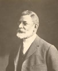 Geological Guide to the Fossil Grove