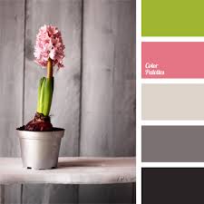 I can't say that i've had any interest in plants or flowers since my mom and i used to garden together. Color Of Hyacinth Color Palette Ideas