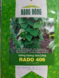 Image result for Tiliacora