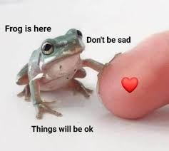 See a recent post on tumblr from @dankmemeuniversity about wholesome memes. 50 Wholesome Memes As Shared By This Page To Brighten Up Your Day Bored Panda