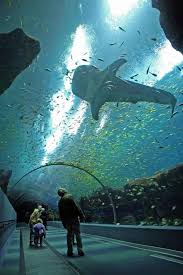 Pin By Jenifer Frozi On Explore Places To Travel Places To Visit Travel