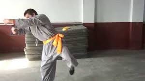 Fundraiser by Justin Krall : Justin M Krall's trip to Kung Fu Academy