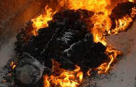 Cremation is a method of final disposition of a dead body through burning. General View Of Body During Cremation Process Superior View Note The Download Scientific Diagram