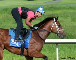 An ultramarathon is defined as anything longer than 26.2 miles. Wells Bayou Continues Comeback In Saturday S Oaklawn Mile Horse Racing News Paulick Report