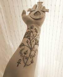 Pin On Lotus Flowers