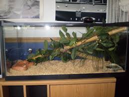100 Gallon Reptile Aquarium Aquarium Aquarium Design 100 Gallon Aquarium