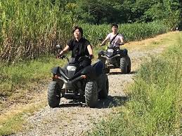 四輪バギー セグウェイのプラン 石垣島開催 約2時間 要普通自動車免許 At限定可 四輪バギー 2020年1月 体験コースがリニューアル ハワイで人気の本格バギーツアーを石垣島で体感 18歳 70歳未満 初心者参加ok たびらい沖縄 アクティビティ